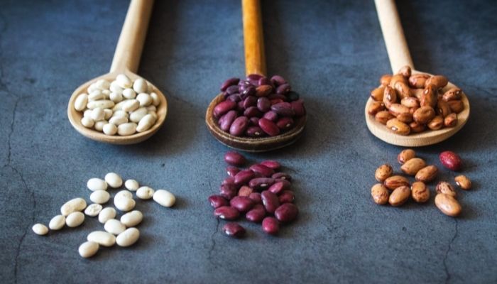Are Beans a Vegetable? Facts to Know!