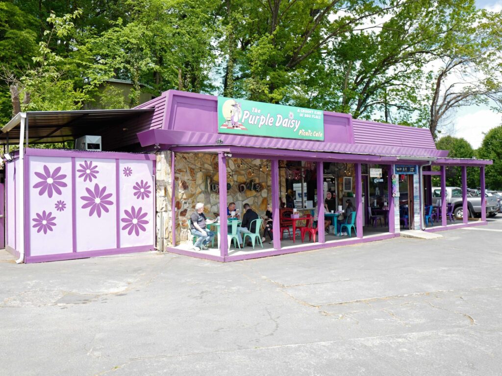 the purple daisy picnic cafe chattanooga tn